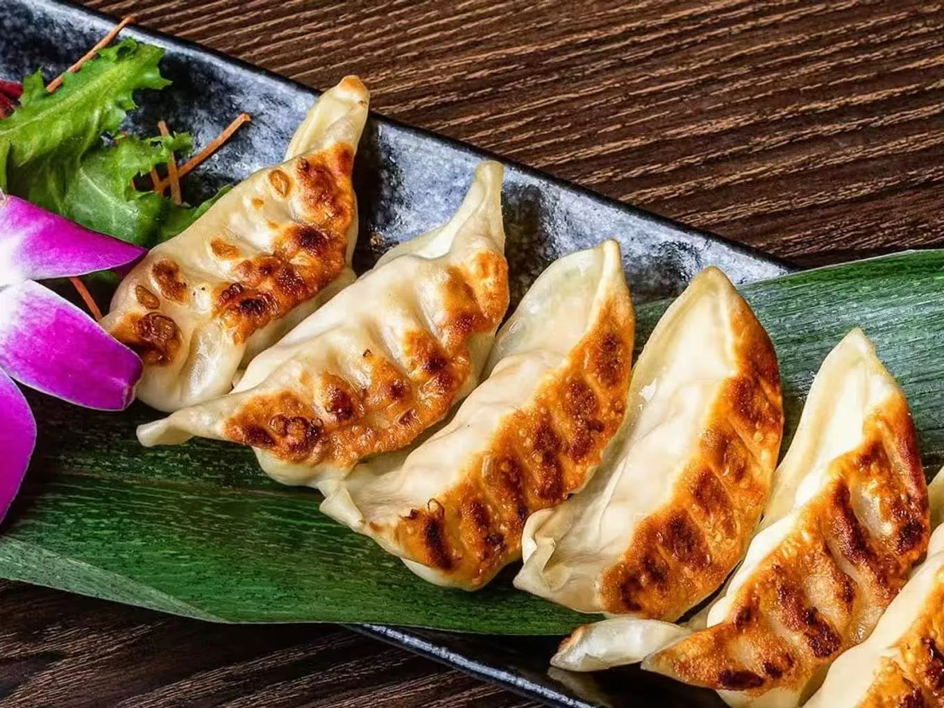 Golden pan-fried dumplings with crispy bottoms at Hana Sushi & Asian Cuisine, a Asian Restaurant in Maplewood
